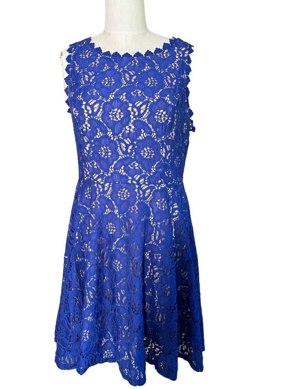 City Studio Beautiful Blue Lace Skater Style Dress - Size 13